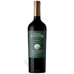 Enrique foster Los Altepes Malbec