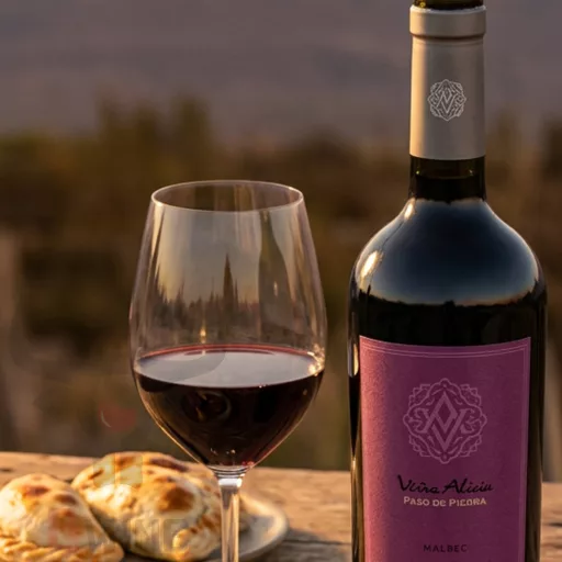 Vina Alicia 'Paso de Piedra' Malbec