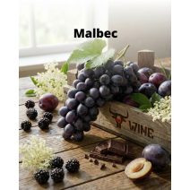 Malbec