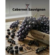 Cabernet Sauvignon