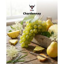 Chardonnay