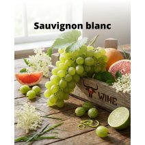 Sauvignon Blanc